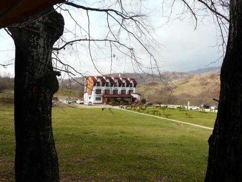 Pensiunea Casa Padurii - 618