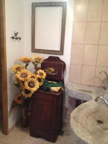 Pensiunea Casa Serban - 340