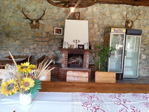 Pensiunea Casa Serban - 322