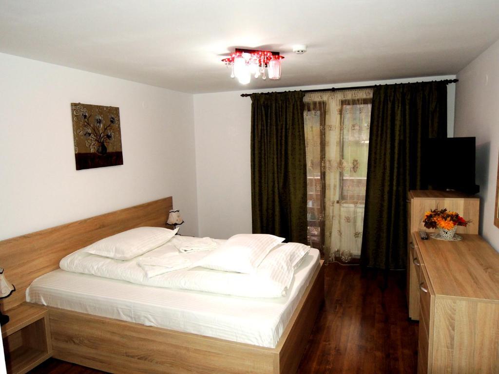 Pensiunea Casa Zarnesteana - 925