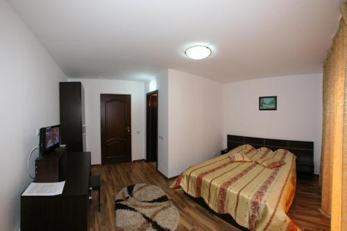 Pensiunea Casa Zarnesteana - 727