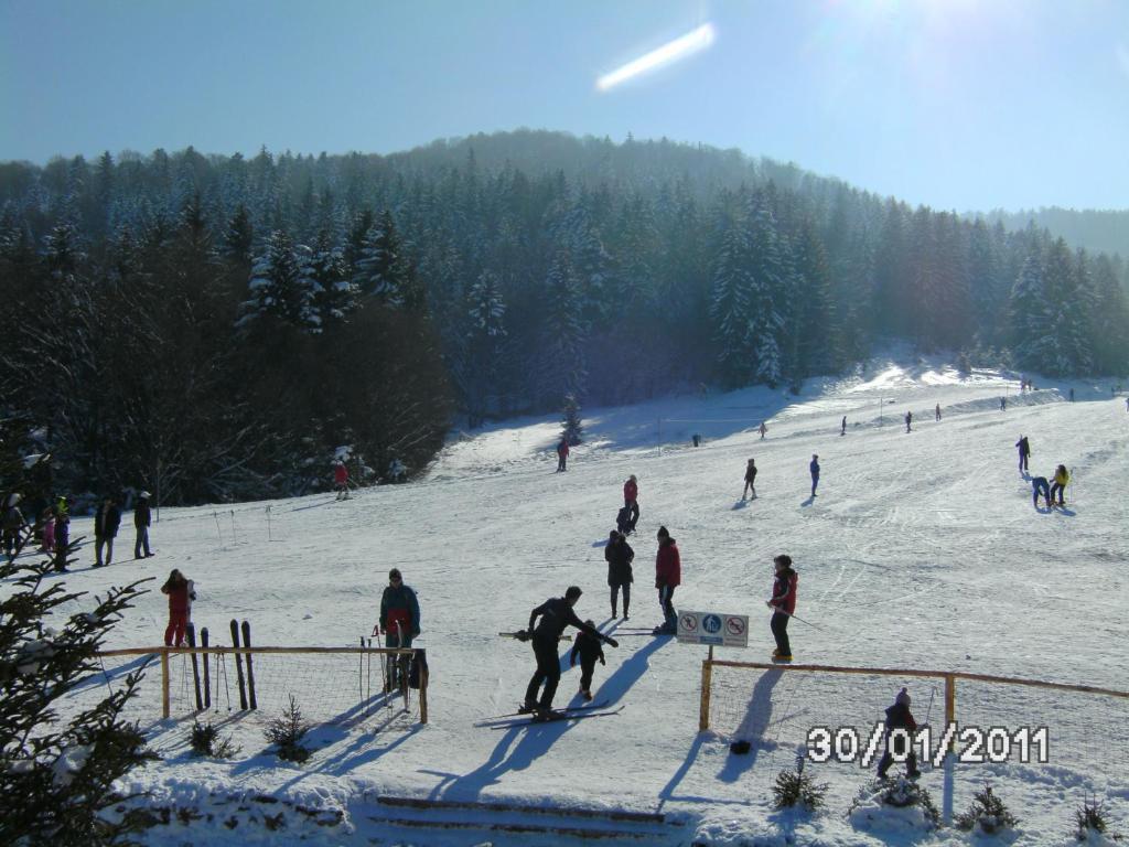 Pensiunea Casa Zmeilor - 709