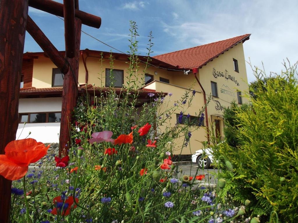 Pensiunea Casa Zmeilor - 973