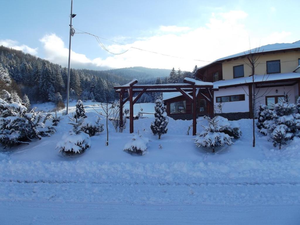 Pensiunea Casa Zmeilor - 572