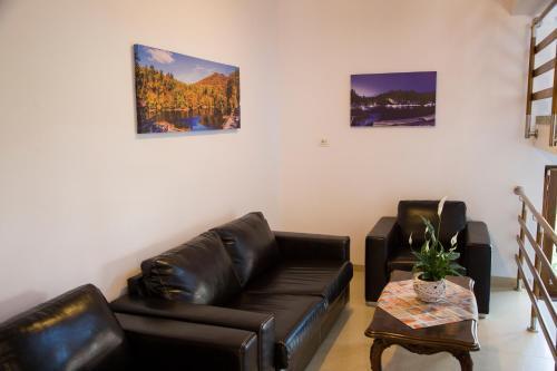 Pensiunea Comfort - 449