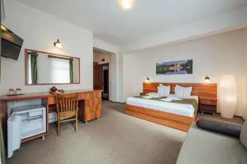 Pensiunea Comfort - 409