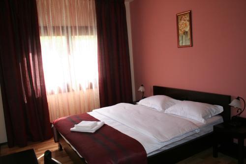 Pensiunea Cristian Covasna - 448