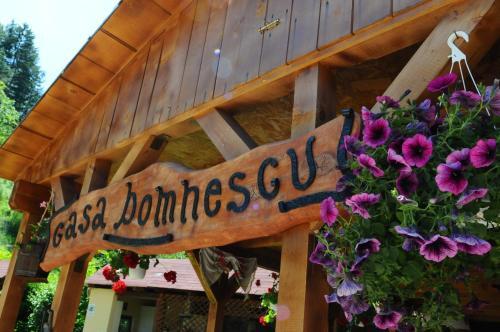 Pensiunea Domnescu - 728