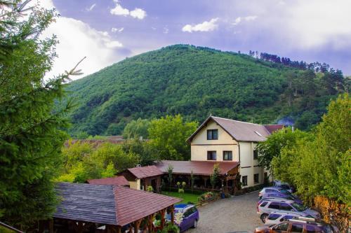 Pensiunea Domnescu - 131