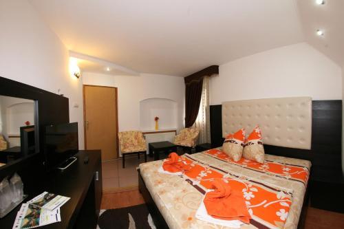 Pensiunea El Plazza - 340