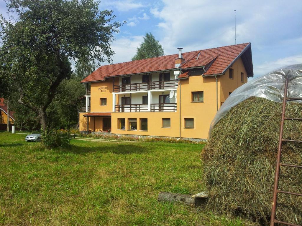 Pensiunea Elena - 799