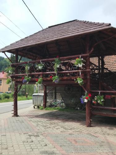 Pensiunea Gaiu - 30