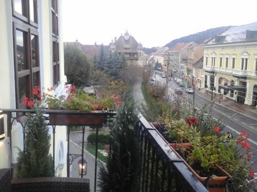 Pensiunea Gasthaus Alte Post - 172