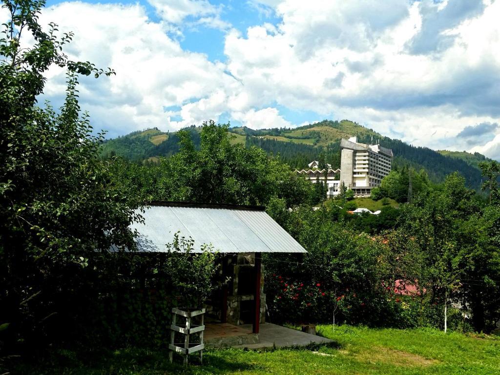 Pensiunea Giulia - 428
