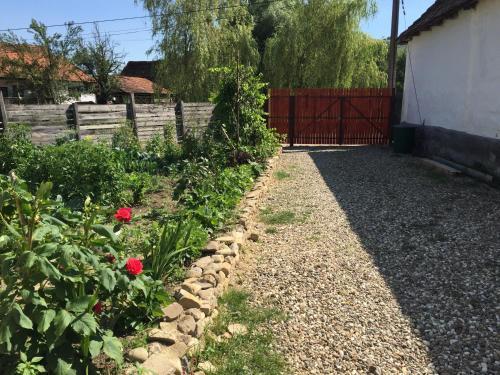 Pensiune Agroturistica Hanna - 916