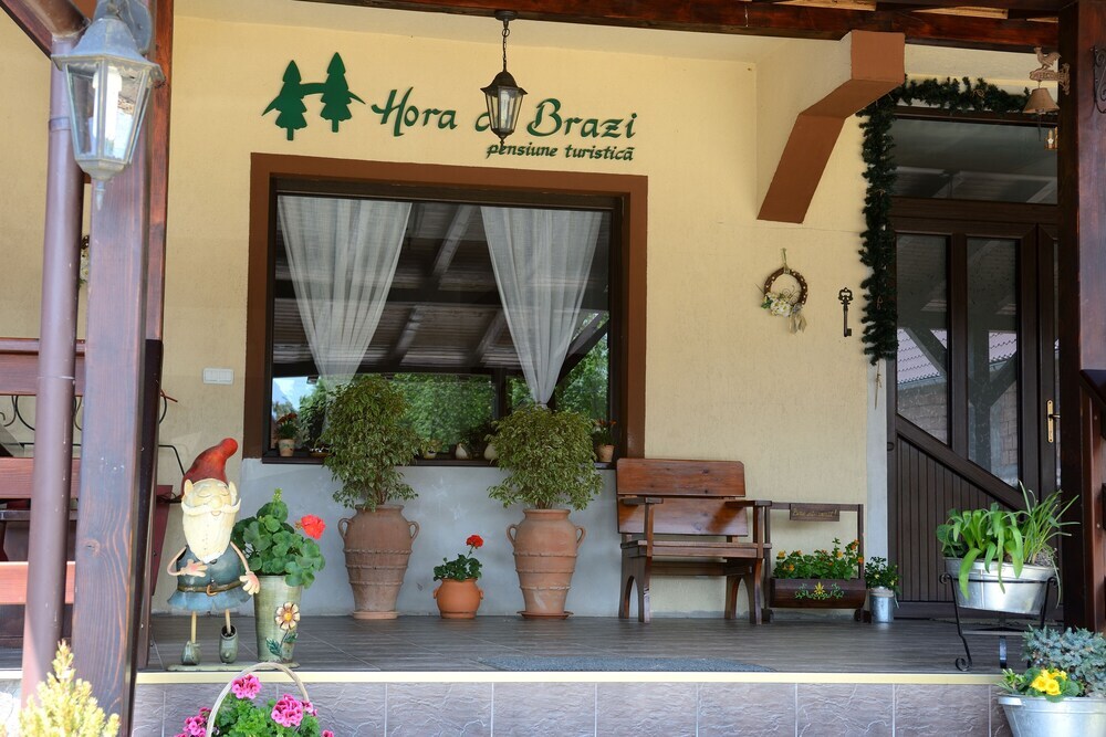 Hora cu Brazi - 31