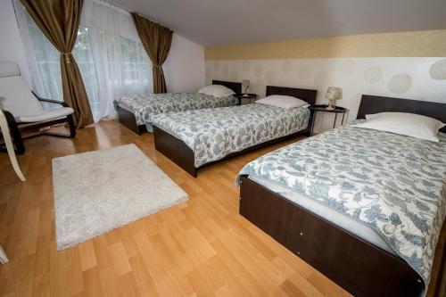 Pensiunea Jolie - 305