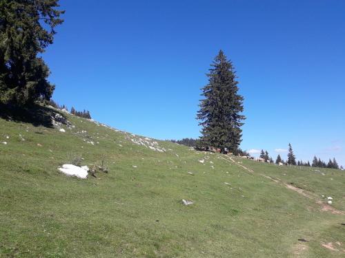 Pensiunea Kyfana - 336