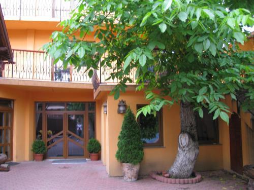Pensiunea Kyfana - 848