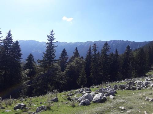 Pensiunea Kyfana - 369