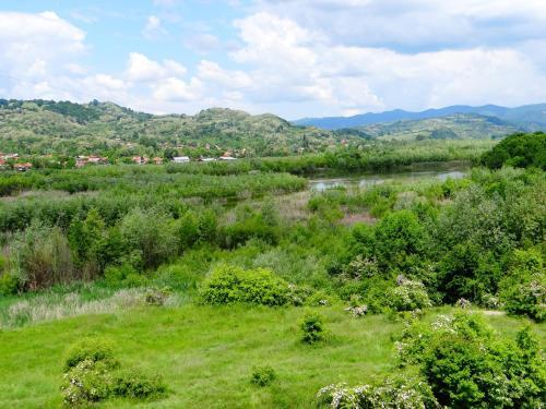 Pensiunea Lacul Albesti - 487