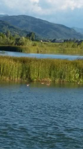 Pensiunea Lacul Albesti - 55