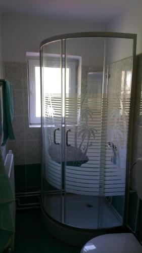 Pensiunea Badea Gheorghe Agro - 556