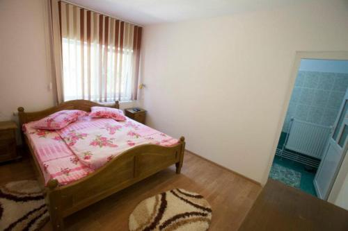 Pensiunea Badea Gheorghe Agro - 396