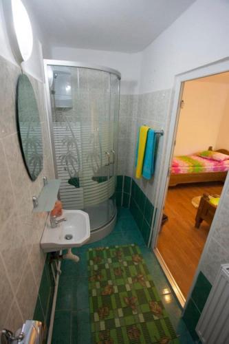 Pensiunea Badea Gheorghe Agro - 341
