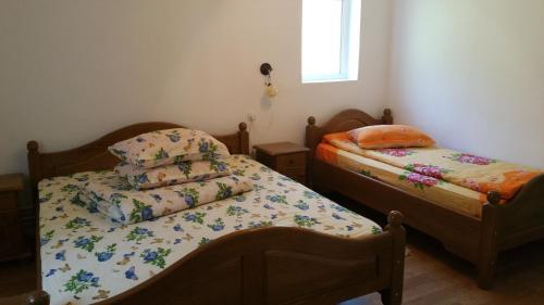 Pensiunea Badea Gheorghe Agro - 382