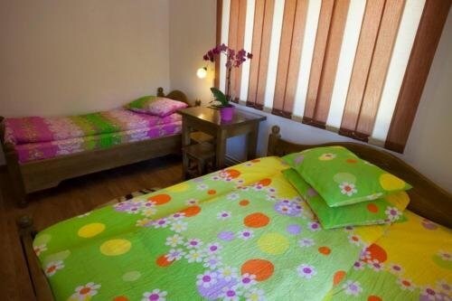 Pensiunea Badea Gheorghe Agro - 908