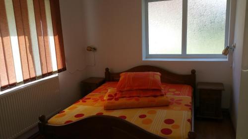 Pensiunea Badea Gheorghe Agro - 814
