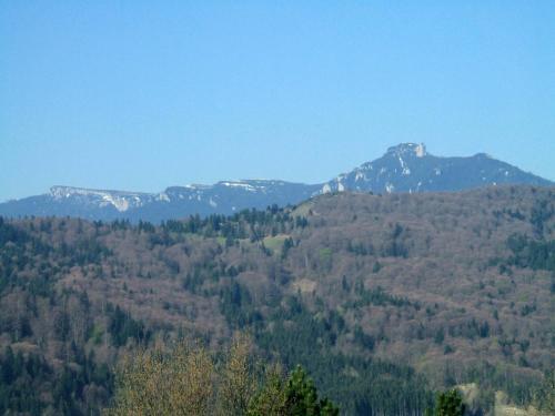 Pensiunea Lostrita - 459