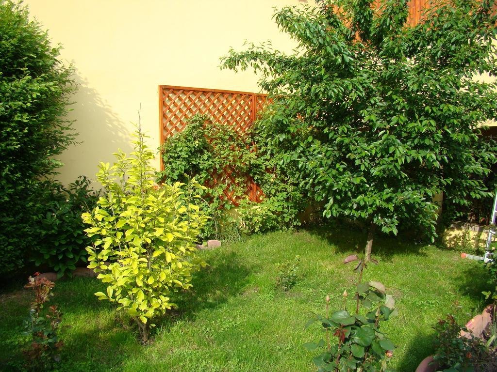 Pensiunea Magnolia - 710