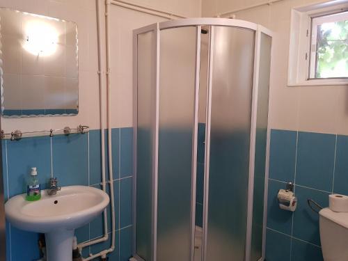 Pensiunea Magnolia din Tismana - 41