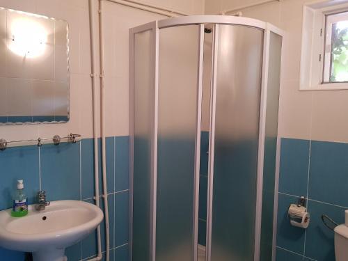 Pensiunea Magnolia din Tismana - 896