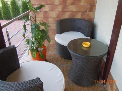 Pensiunea Marina - 625