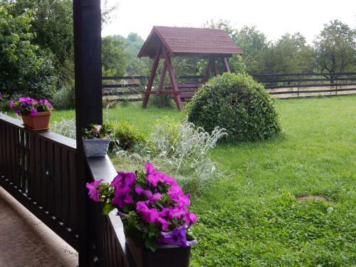 Pensiunea Marmot Residence - 930