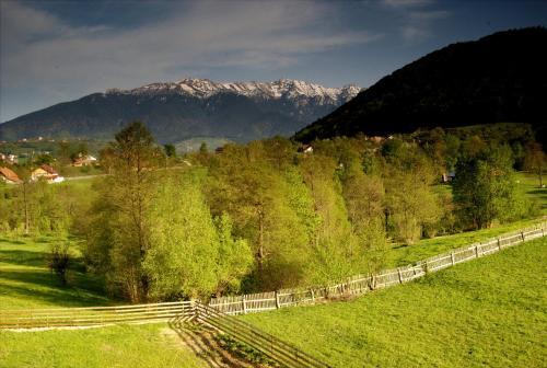Pensiunea Marmot Residence - 881