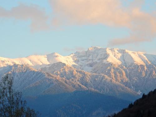 Pensiunea Marmot Residence - 708