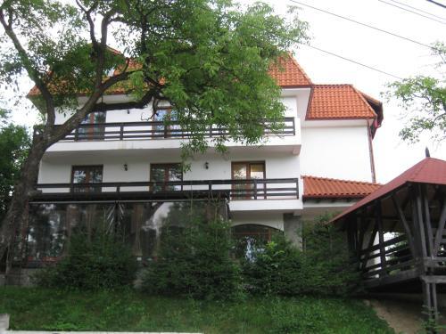 Pensiunea Comarnic-Moisa - 275