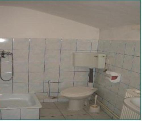 Pensiunea Montan Busteni - 529