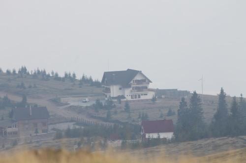 Pensiunea Muntele Alb - 241