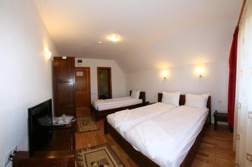 Pensiunea Muntele Alb - 135