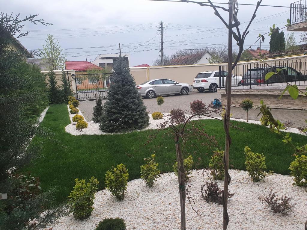 Pensiunea Mystique Arad - 742