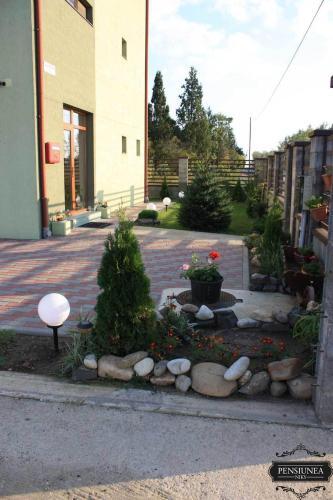 Pensiunea Niky - 286