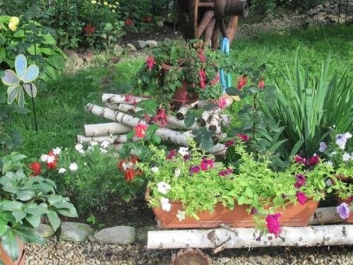 Pensiunea 'Nu MĂ Uita' - 573