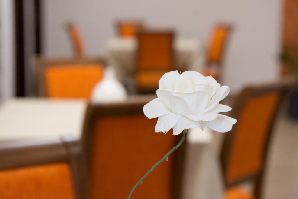 Ohana Boutique Hotel - 905