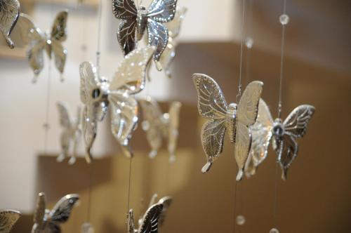Papillon - 893