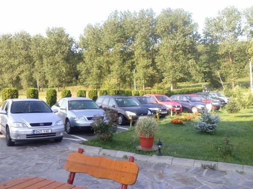 Pensiunea Perla Neamtului - 816